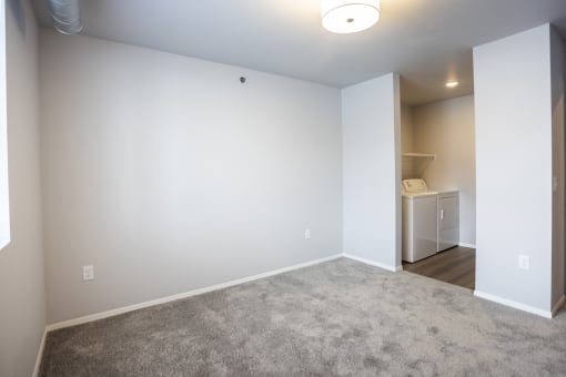 Bright, vacant bedroom with neutral walls and carpet flooring.