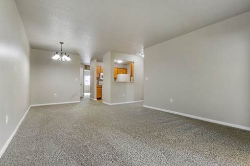 A spacious room with a grey carpet and white walls.