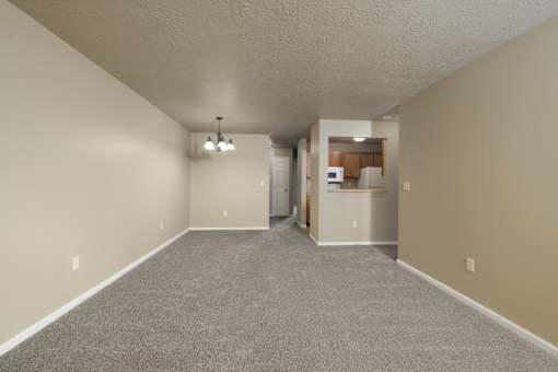 A spacious room with a carpeted floor and a kitchenette in the background.