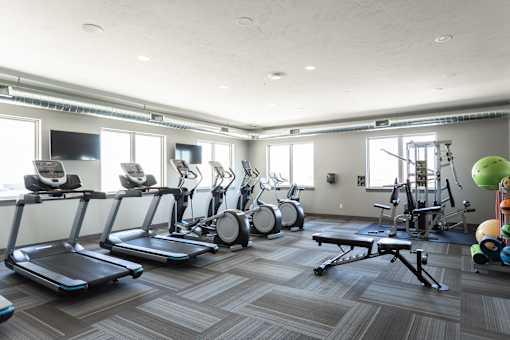 fitness