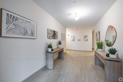 A hallway with wooden benches and potted plants.