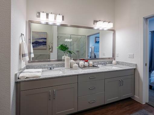 A bathroom with a double sink vanity and a large mirror above it.
