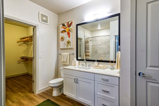 a bathroom with a sink and a toilet and a mirror at Birdie on Woodland Greens, Texas 78726