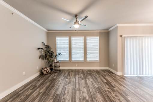 A room with a ceiling fan and a plant at Rosemary Apartments, Conroe, TX