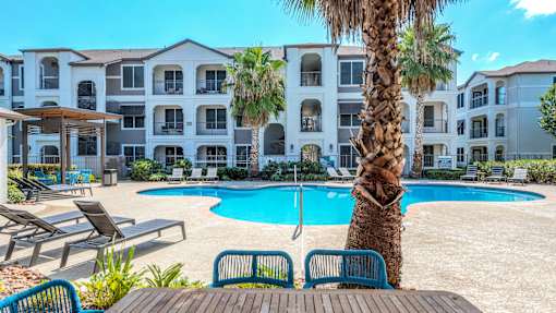 A palm tree stands in front of a pool at a resort at Rosemary Apartments, Texas, 77384