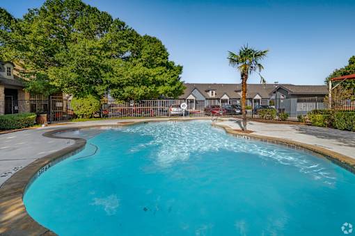 Resort style swimming pool with palm tree at Houston Street Townhomes Apartments, San Antonio, TX