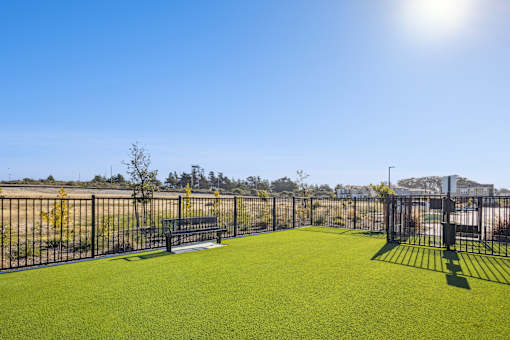 Dog park with seating