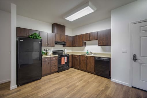 Arbor Creek Senior apartment kitchen