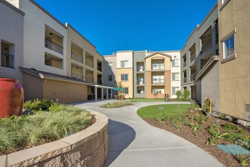 Arbor Creek Senior grounds