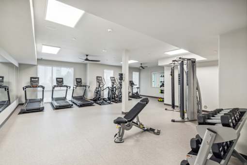 the gym with treadmills and weights at the belgard apartments