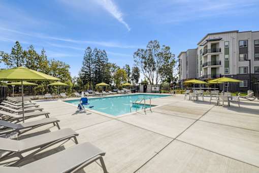 our apartments have a swimming pool with lounge chairs and umbrellas