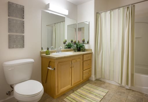Copperstone Village apartment bathroom