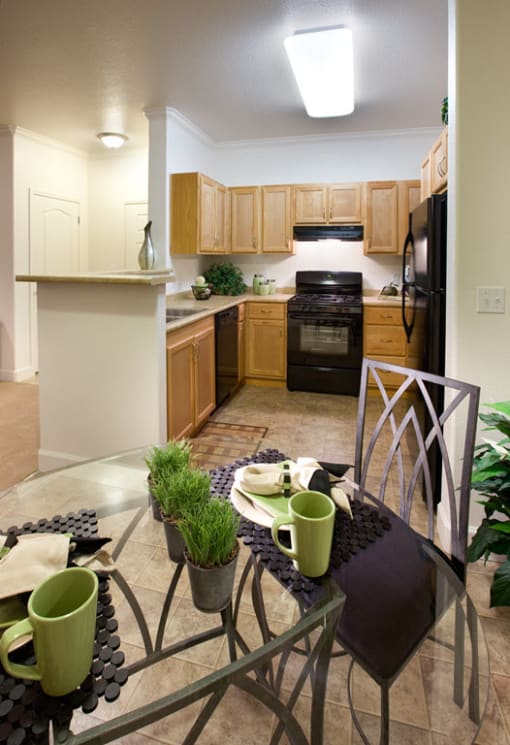 Copperstone Village apartment kitchen