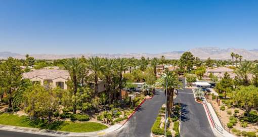 A residential street with houses and palm trees.