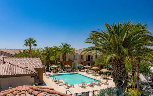A pool surrounded by palm trees and chairs.