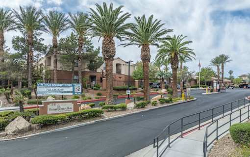 A street view of a residential area with palm trees and a sign for Vintage Dentist Boss.