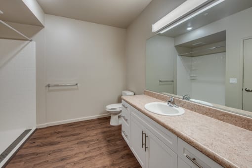 Liberty at Aliso bathroom with walk in shower