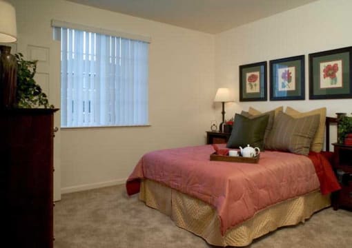 Silverado Creek Apartment Bedroom