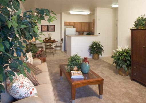 Silverado Creek Apartment Living Room