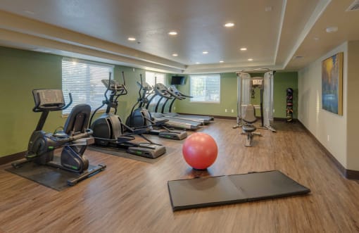 Terracina Reno gym