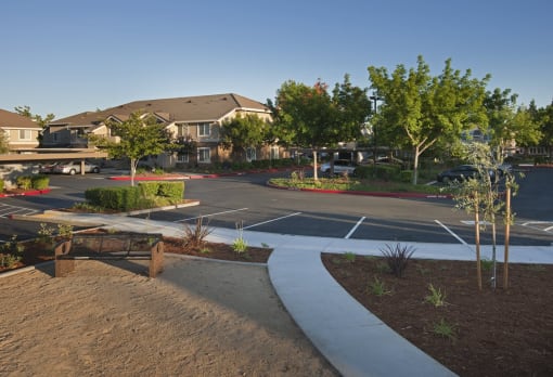 Terracina at Vineyard grounds