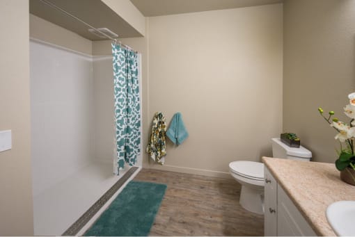 Vintage at Aliso  2 bedroom 2 bathroom bathroom with walk-in shower