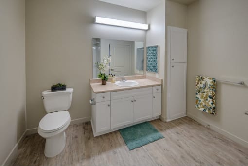 Vintage at Aliso  apartment bathroom