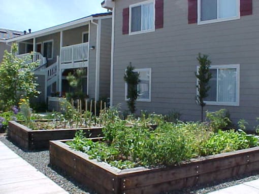 Vintage Brook garden