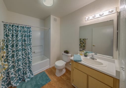 Vintage Chateau I apartment bathroom