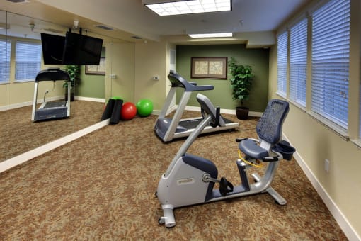 VintageChateau II workout room