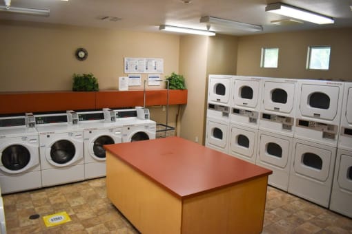 Vintage Gardens laundry room