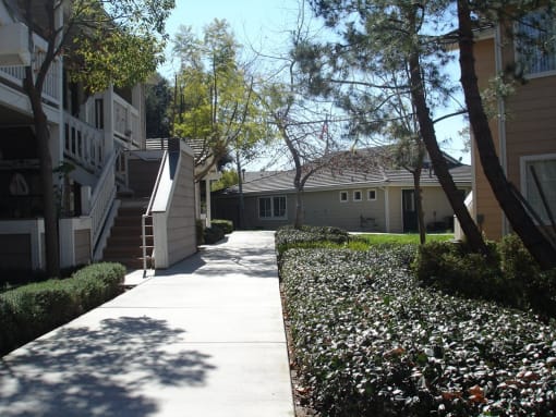 Vintage Grove grounds