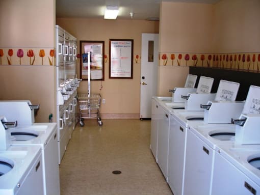 Vintage Grove laundry room