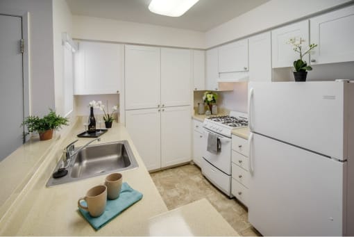 Vintage at Kendall apartment kitchen