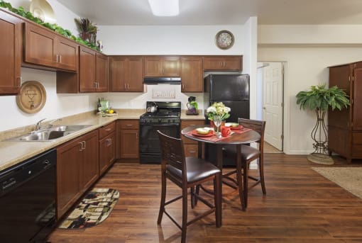 Vintage at Laguna phase two apartment kitchen