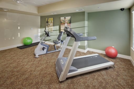 Vintage at Laguna phase two workout room