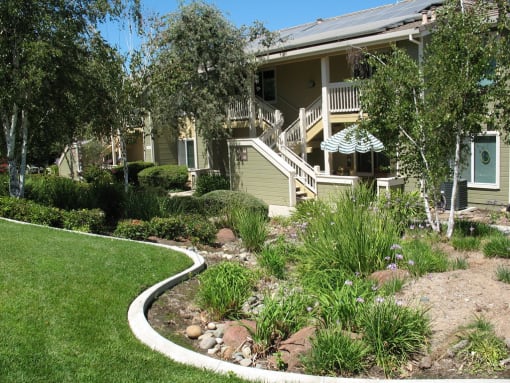 Vintage Oaks grounds