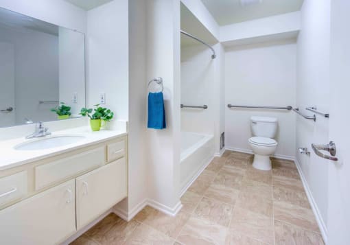 Vintage at Stonehaven apartment bathroom
