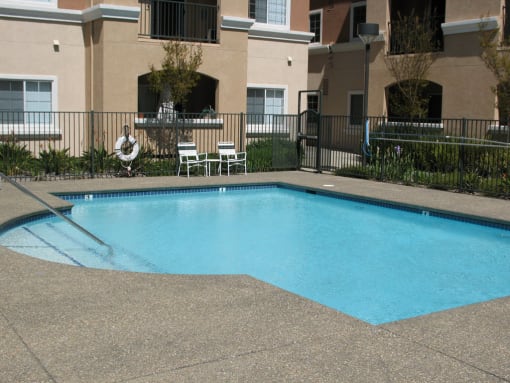 Vintage Zinfandel pool