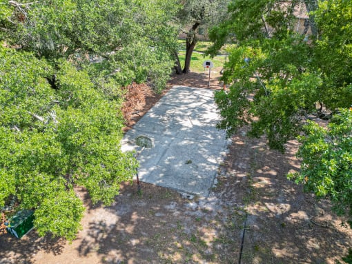a path between trees in a park