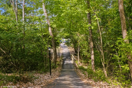 a path through the woods leading to the beach at Silvertree at Little Turtle Apartments, Ohio