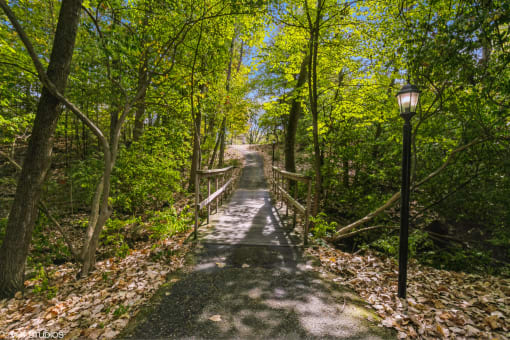 a path through the woods with a bridge and trees at Silvertree at Little Turtle Apartments, Ohio