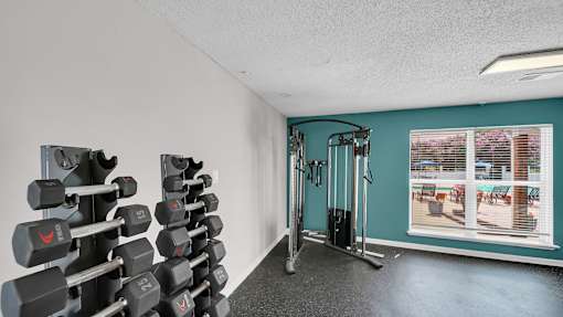 Free Weights at The Stella Apartments, Tennessee, 38134