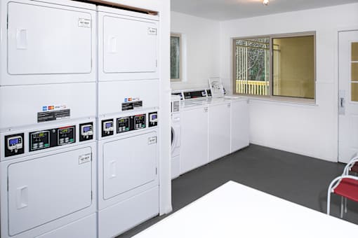 A row of white washing machines in a laundry room.