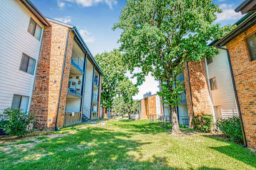 A tree in a grassy area in front of apartment buildings at Water Ridge Apartments , Texas