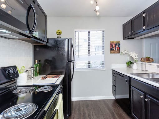 a kitchen with black appliances and a window at Water Ridge Apartments, Irving, TX
