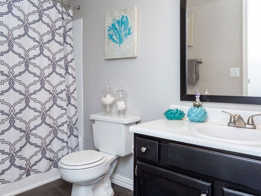 a bathroom with a toilet sink and a mirror at Water Ridge Apartments, Texas
