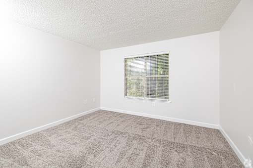 A room with a carpeted floor and a window with blinds.