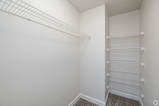 A white closet with shelves and a carpeted floor.