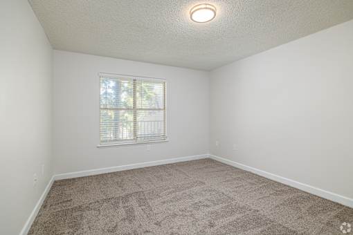 A room with a carpeted floor and a window with blinds.